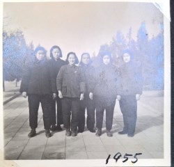 1955����������������ݼ���Ӱ